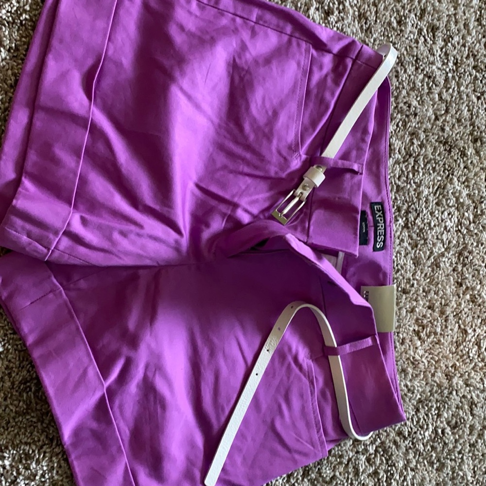 Purple pair of express shorts/ green Arizona short